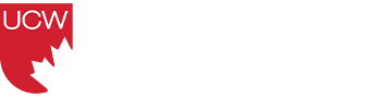 University Niagara Falls Canada